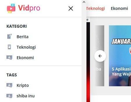 Jasa Install Theme Vidpro Original Lisensi Lifetime