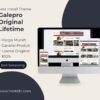 Jasa Install Theme WordPress Galepro Original Lifetime