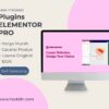 Jasa Install Elementor Pro Original Lisensi