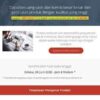 Jasa Install Salespro WordPress Theme Original Lifetime