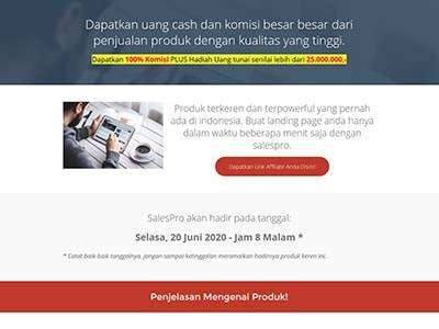 Jasa Install Salespro WordPress Theme Original Lifetime
