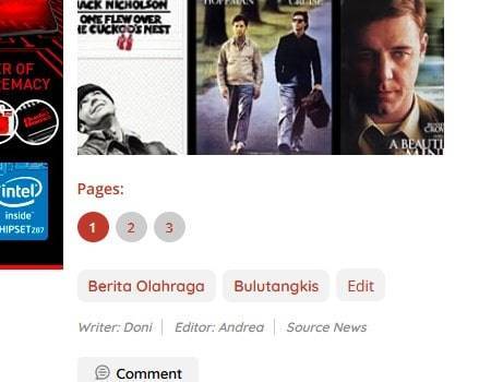 Jasa Install Theme WPberita Original Lisensi Lifetime