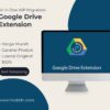 All in One WP Migration Google Drive Extension - Original