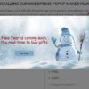 WordPress Popup Plugin Pro Original